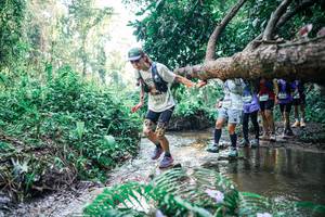 BIB: 
                            <button type="button" onclick="openModal(25463995)" class="btn btn-primary btn-sm float-right btn-popup" data-toggle="modal" data-target=".modal-high-quality">
                        <i class="fas fa-shopping-cart"></i> Add to Cart
                    </button>
                                            <button type="button" onclick="isThisMe(25463995, true)" class="btn btn-success btn-sm float-right btn-popup btn-isme hidden" data-toggle="tooltip" data-placement="bottom" title="นี่คือรูปของคุณใช่ไหม คลิกที่นี่เพื่อเอาเข้าอัลบั้ม">
                        <i class="fas fa-plus"></i> Add to album
                    </button>
                    <button type="button" onclick="isThisMe(25463995, false)" class="btn btn-warning btn-sm float-right btn-popup btn-isnotme hidden">
                        <i class="fas fa-ban"></i> Remove from album
                    </button>